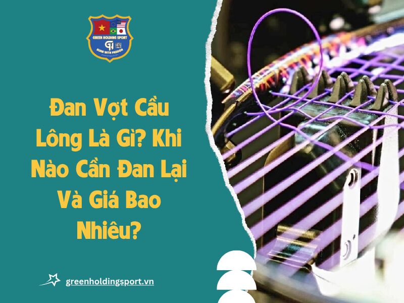 dan vot cau long anh dai dien